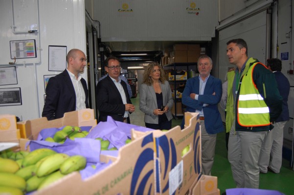 Mercalicante y el Puerto se conjuran para potenciar el comercio exterior de productos alimentarios