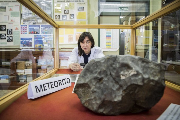 Anna García Forner nomenada delegada del rector per al Museu d'Història Natural de la UV