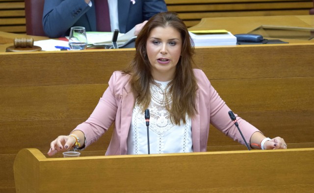 Ciudadanos ve frustrante la paralización de leyes valencianas pero respeta los recursos del TC