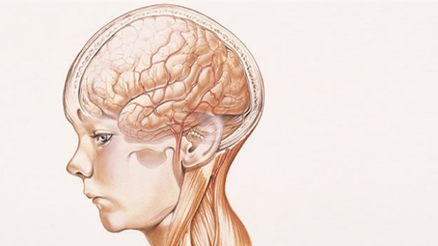 La exposición a contaminantes puede afectar al desarrollo cerebral del niño