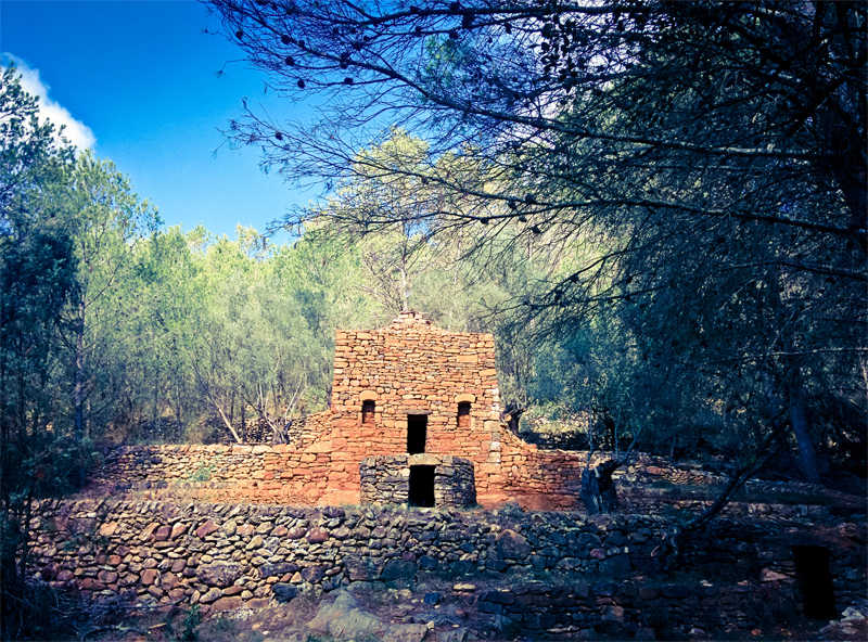 Cebrián apunta a los olivos milenarios como oportunidad para el turismo rural