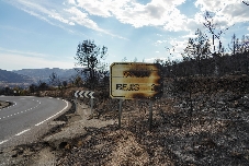 ¿Cómo resurgieron los municipios valencianos de los grandes incendios? 