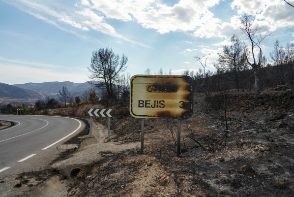 ¿Cómo resurgieron los municipios valencianos de los grandes incendios? “Esperamos tener el monte recuperado en 10 años”