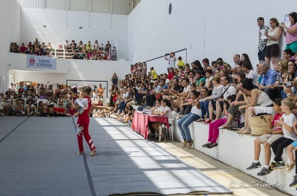 Deportes destina 275.000 euros a 235 entidades para iniciación al rendimiento