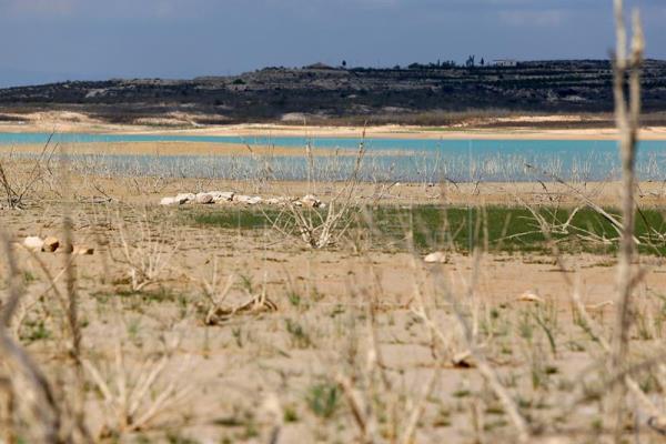 Puig pedirá el lunes a Tejerina poner todas las desaladoras al 100% y un envío del Tajo-Segura