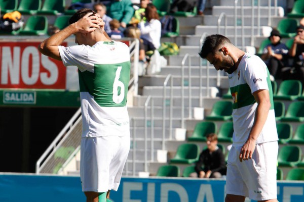 Descalabro franjiverde