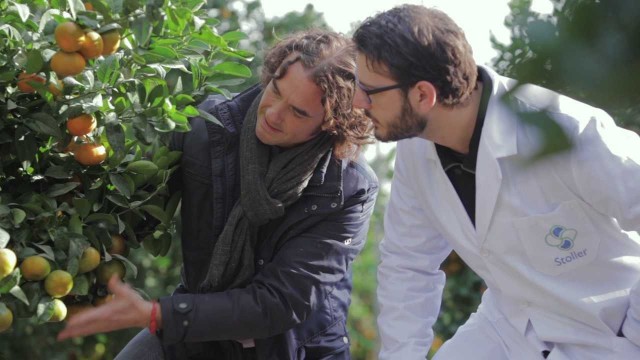 Stoller Europe se instalará en Elche Parque Empresarial; la décima parcela vendida por Pimesa 