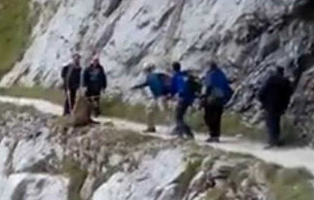 La Guardia Civil pide ayuda para identificar a los salvajes que despeñaron a un jabalí en los Picos de Europa