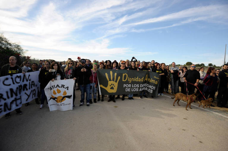 El TSJ anula la suspensión cautelar y confirma la retirada de una finca pública al Arca de Noé 