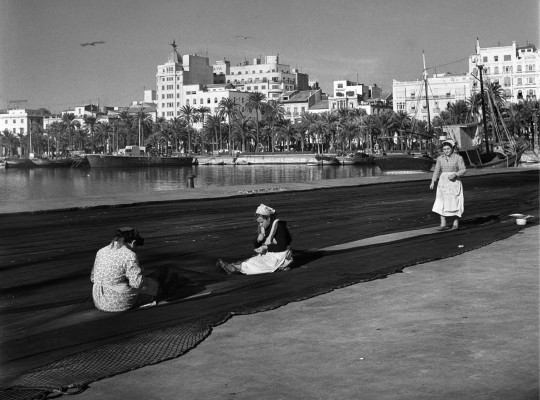 Alicante en el s. XX, tras la mirada de Francisco Sánchez