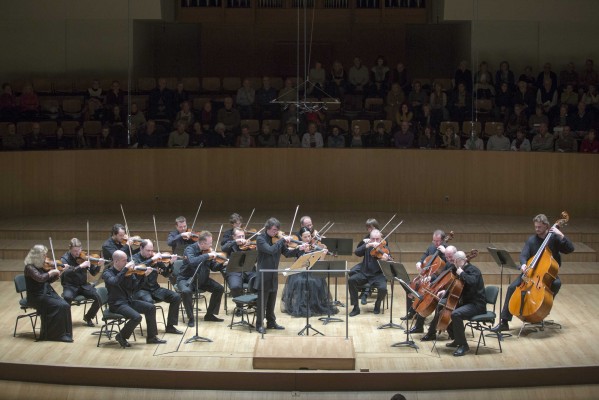 	La viola, un instrumento que enamora por su terciopelo y discreción