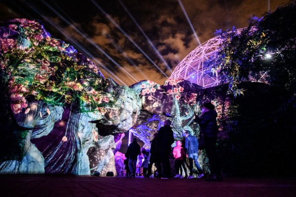 Un mar de luces en el Oceanogràfic: así es 'Naturaleza encendida' (Fotos: Kike Taberner)