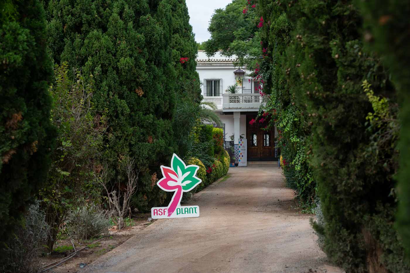  Quinta edición de la gala Viles en Flor de la Comunitat Valenciana (Fotos: Miguel Valls)