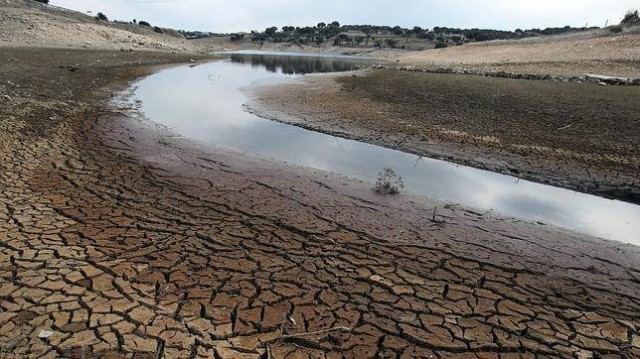 El Congreso aprueba por unanimidad las ayudas para paliar el daño de la sequía en la agricultura