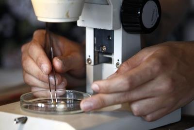 Un laboratorio científico. Foto: EFE - 