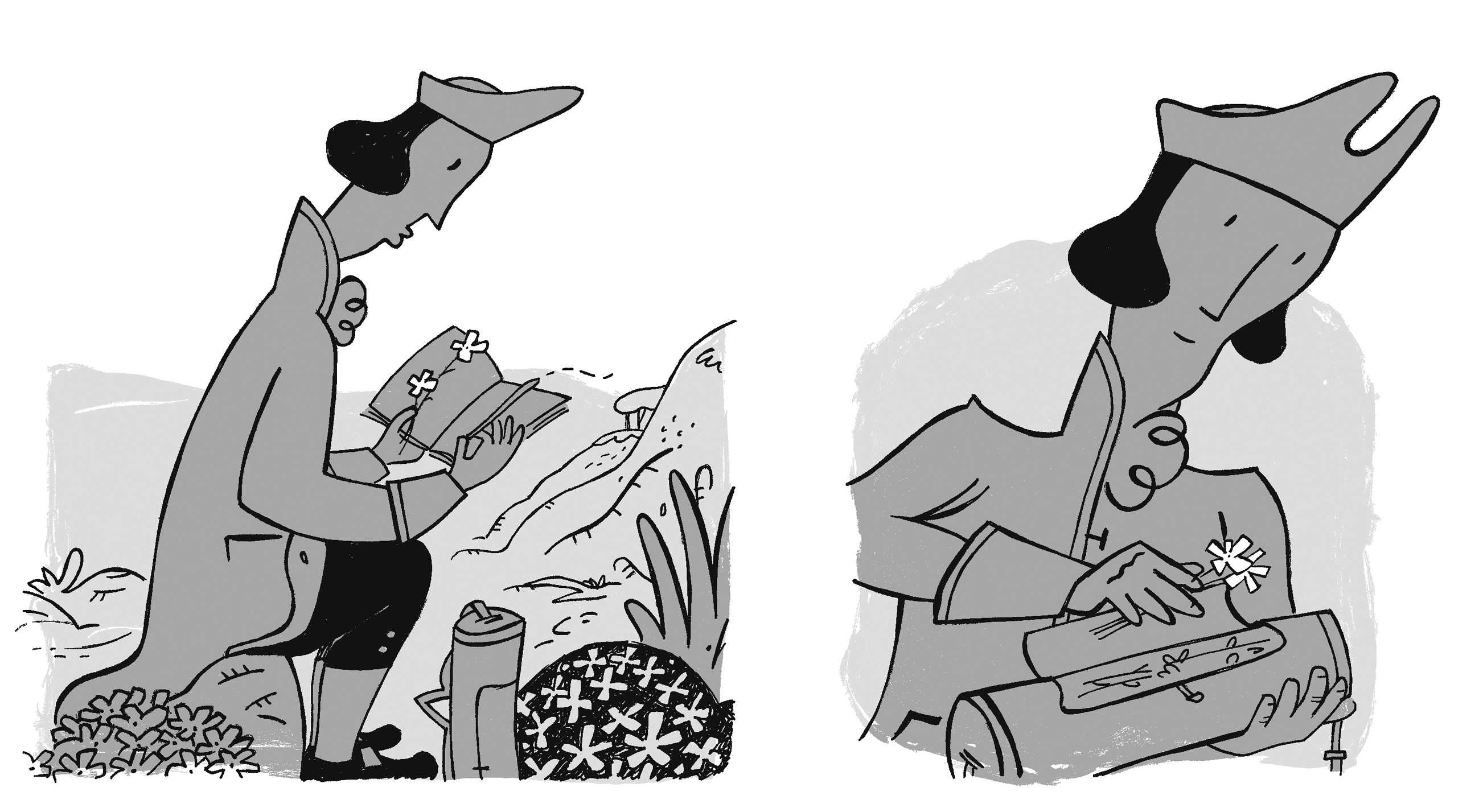 Cavanilles, ¿cazavampiros?