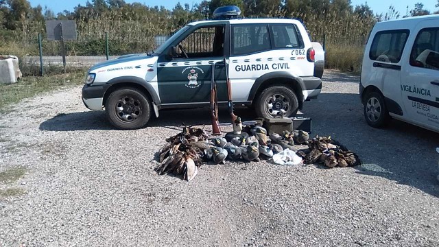 València quiere controlar la caza en la Albufera