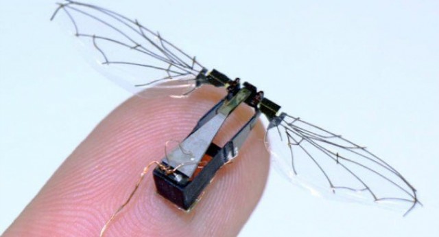 A un paso de insectos robóticos que se comportan como los reales

