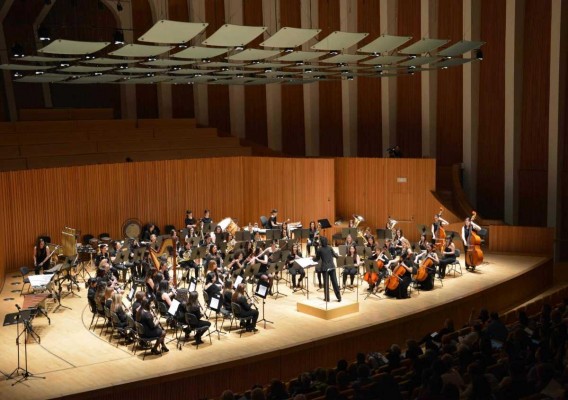 La FSMCV demanda su incorporación al Patronato del Palau de les Arts