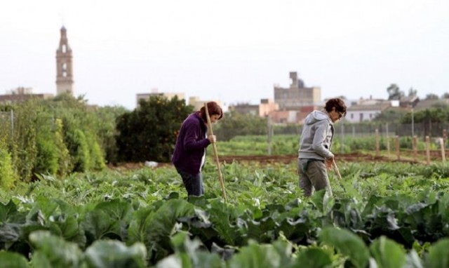 El mercado mundial, un mar de oportunidades y amenazas para el campo español

