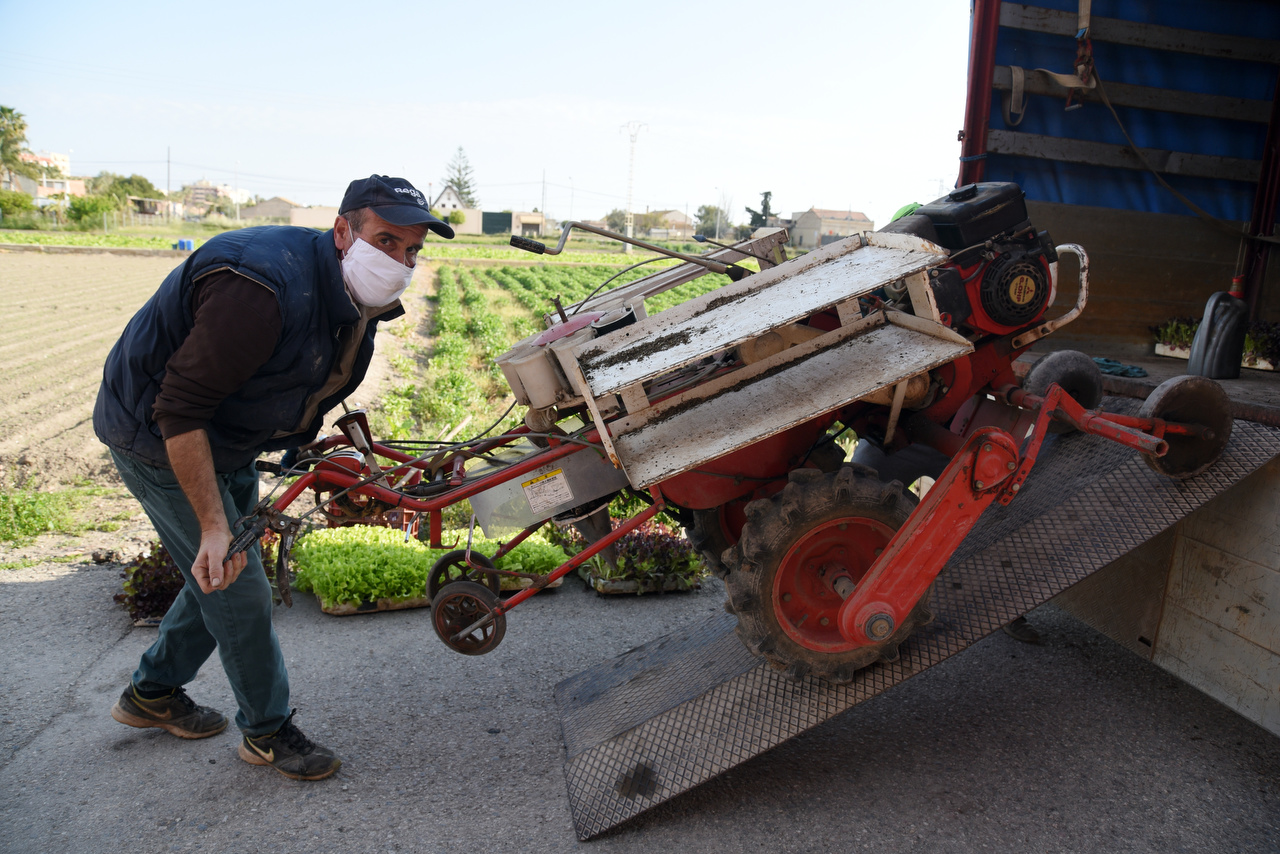 Los agricultores continúan con su actividad durante el estado de alarma (Fotos: EDUARDO MANZANA)