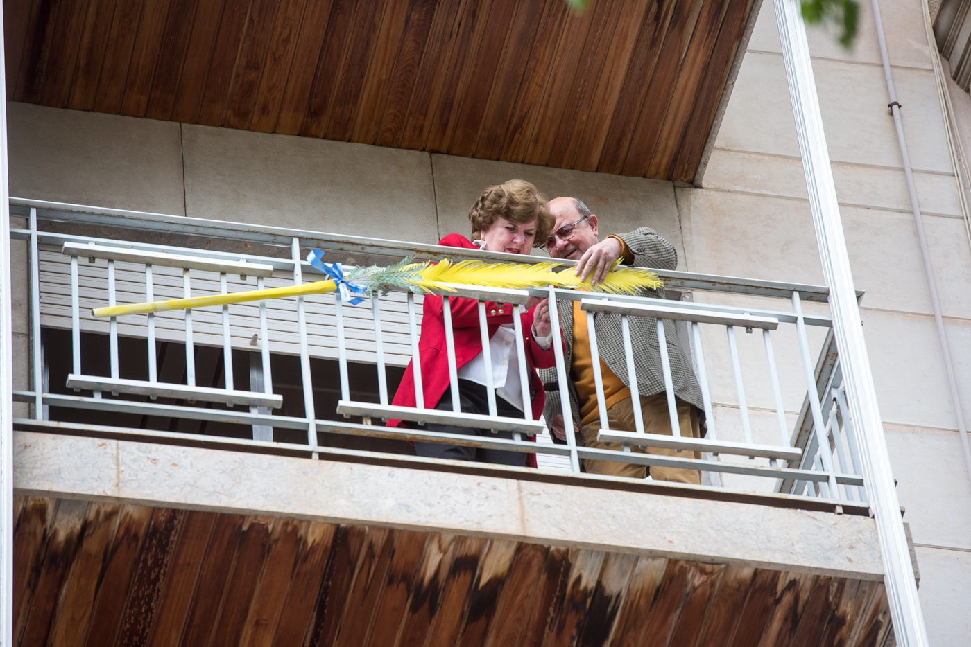 Domingo de Ramos en los balcones de Elche. (Fotos: Rafa Molina)
