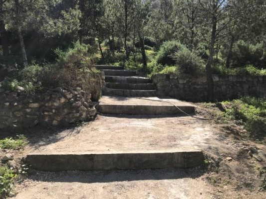 Alicante desbloquea otra inversión sostenible: 485.000 euros para reforestar el Benacantil