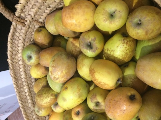 El perelló. Memòria agrícola de la Marina