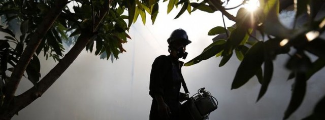 Los pesticidas y la mala nutrición aumentan hasta en un 50% la mortalidad animal

