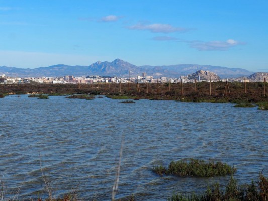 La protección de las Lagunas de Fontcalent y Aguamarga une a PSOE y Guanyar