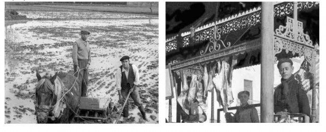 'Collita dels 52', una historiografia que recrea
l’Alberic dels anys 50