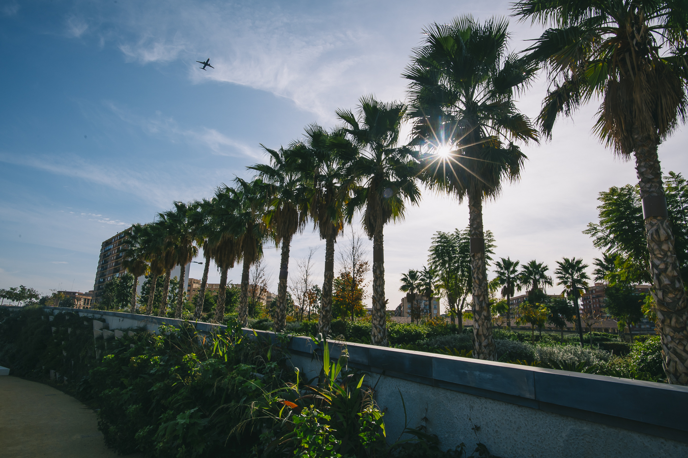 Un año del Parque Central de València (Fotos: KIKE TABERNER)