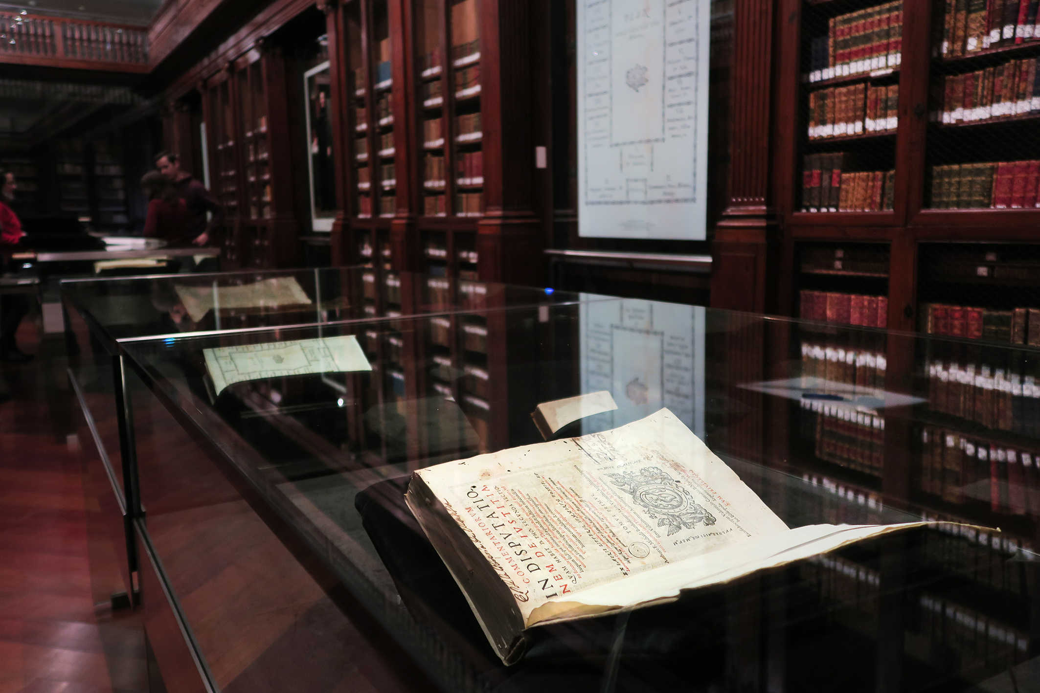 Llibres, disseny o cine: les exposicions que es poden visitar a La Nau aquest Nadal