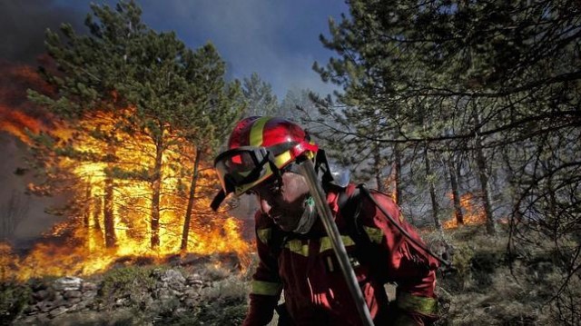 Un año con olor a quemado: en 2017 el 15% de los incendios se produjeron en la zona Mediterránea
