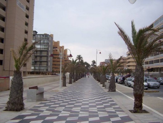 El perito del 'caso Arenales': 