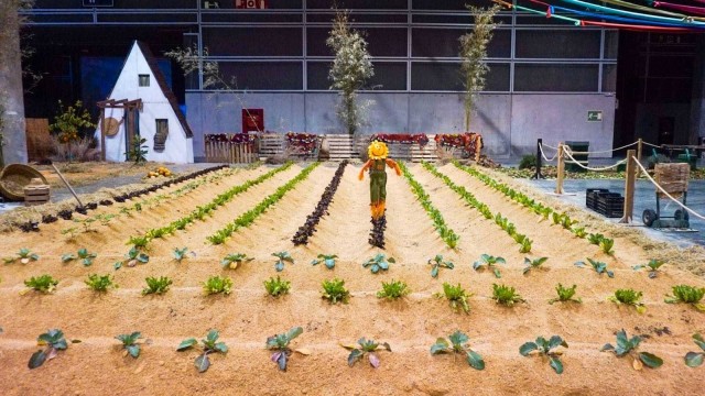 Actuacions musicals i escèniques entre el camp: Expojove recrea l'horta valenciana 