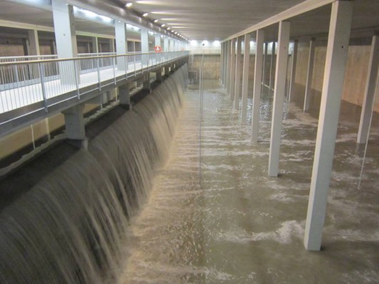 El Observatorio de Servicios reconoce a Alicante por su gestión del agua y su transporte público