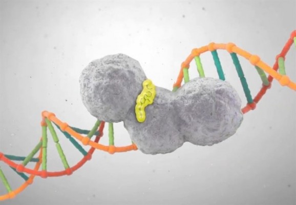 Sanidad autoriza la primera terapia personalizada frente al cáncer de ovario