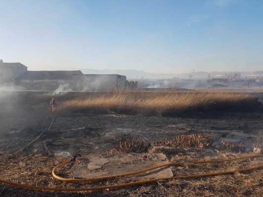  El fuerte viento de poniente dificulta la extinción del incendio en el Marjal dels Moros (Sagunt)
