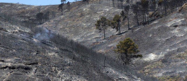 El Consell prohíbe las quemas a menos de 500 metros de terrenos forestales desde el 6 de enero