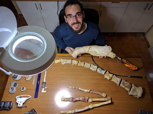 Jurasic Dreams: entre las cuatro primeras webs del mundo de venta de fósiles de dinosaurios