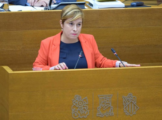 Cs exige a Marzà que resuelva la renovación del Consell Valencià de Cultura que debe acometer Les Corts