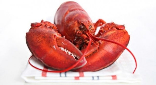 Suiza prohibirá a partir de marzo cocinar las langostas tirándolas en agua hirviendo

