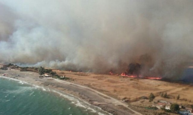 Foc a la marjal