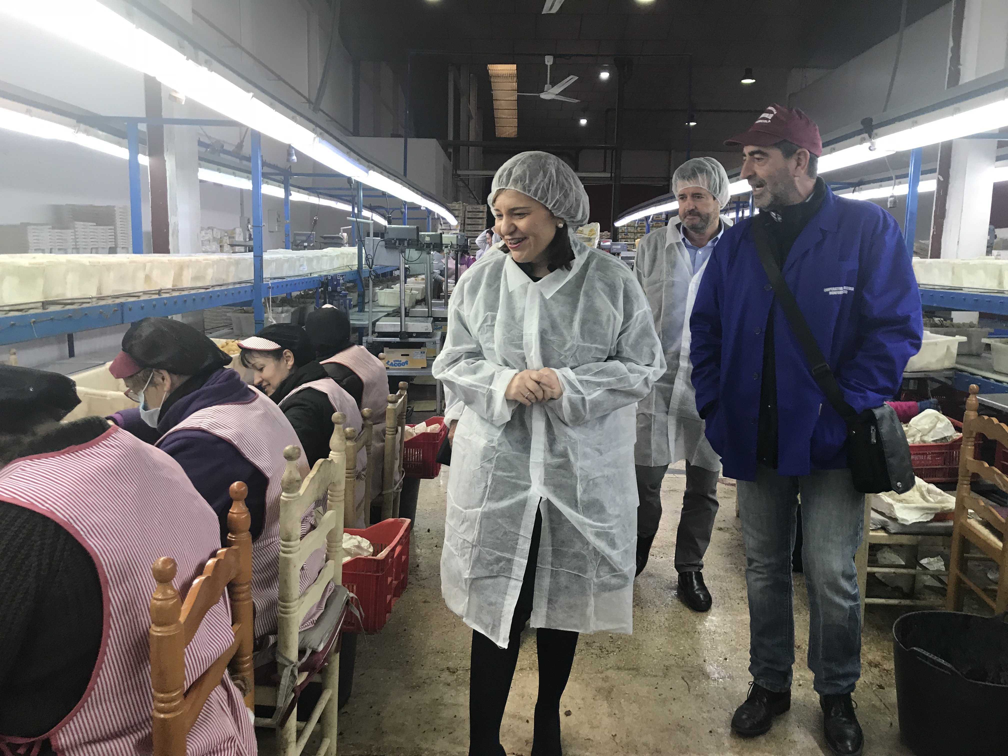 La presidenta del PPCV, Isabel Bonig, en su visita a la cooperativa de Monforte del Cid el mes pasado - 