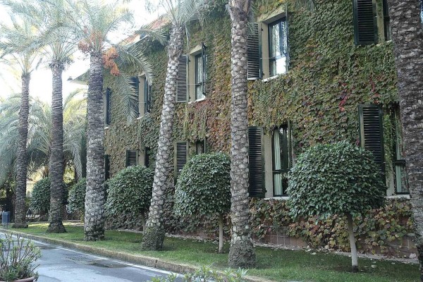 Elche logra las mejores cifras hoteleras en diez años