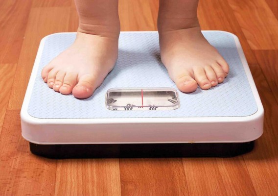 Investigan una herramienta TIC para prevenir la obesidad infantil