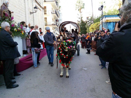 Sant Antoni: animals, dimonis i camp
