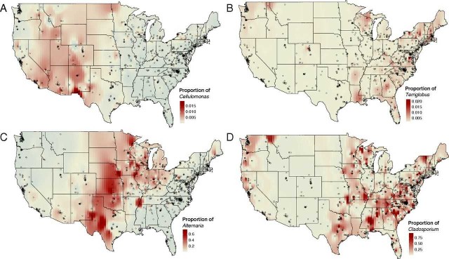 Diseñan un atlas global de las bacterias que viven en la tierra, con unas 500 especies

