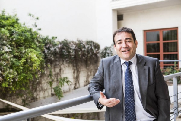 El IVF notificará la próxima semana al Elche que ha ganado la subasta
